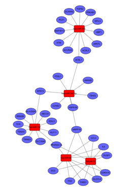 图中显示了 microRNA 与 mRNA 之间的关系