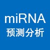 miRNA 预测分析