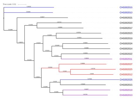 伯豪生物微生物基因组 de novo 测序分析案例图 3