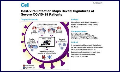 文献集锦 | 5 月单细胞测序高分文献汇总