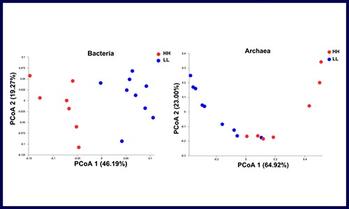 文献解读 | 微生物组 + 代谢组共同探究影响牛奶的蛋白产量的因素