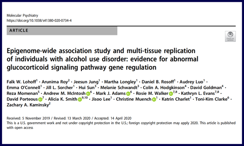 文献集锦│5 月 DNA 甲基化研究新鲜速递
