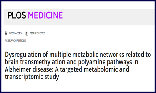 代谢组学 | 阿尔茨海默氏病转甲基化及多胺途径相关代谢网络研究