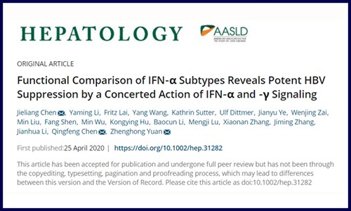 干货！伯豪客户高分文章详解