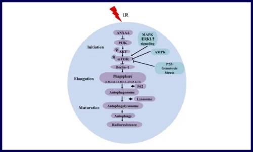 朝花夕拾 | 5 月客户文献集锦