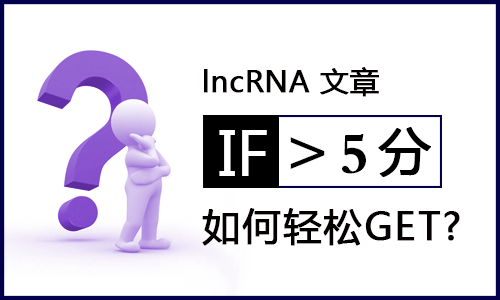 lncRNA | > 5 分文章轻松 get