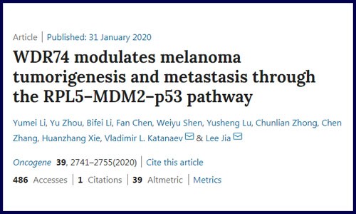 蛋白篇│蛋白组学机制研究例文解读