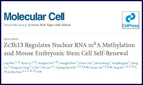 高分文章必备 |LC-MS+m6A-seq
