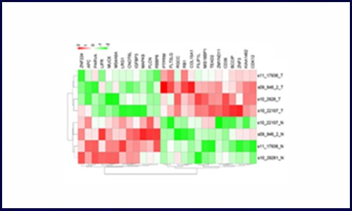基因芯片在 FFPE 样本检测中的应用