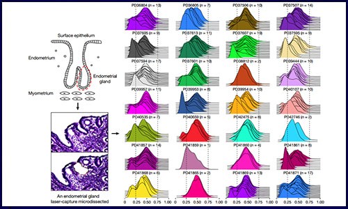 Nature 文献集锦 | 常见肿瘤研究系列——妇科肿瘤