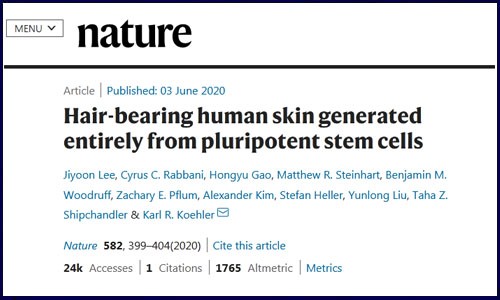 六月份单细胞高分文献汇总