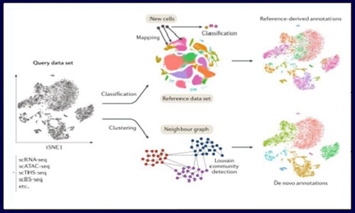 单细胞多组学技术