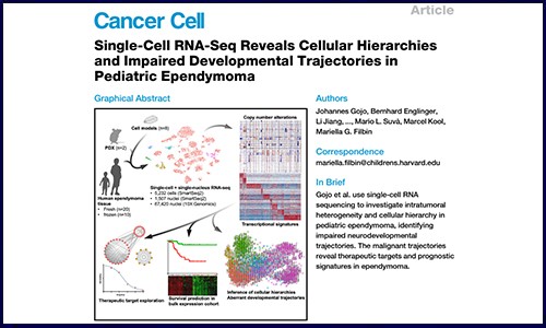 文献锦集 | 7 月单细胞测序高分文献汇总