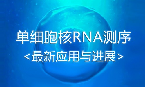 干货分享丨详解单细胞核 RNA 测序（snRNA-seq）应用与进展