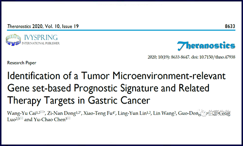 机器学习建模结合免疫浸润分析探究胃癌患者预后及潜在治疗靶点