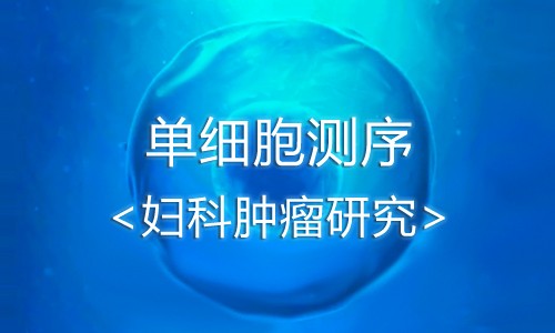 单细胞测序丨揭秘妇科肿瘤研究利器