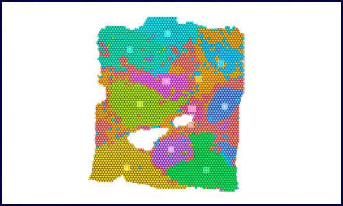 空间转录组 |Space Ranger 的使用