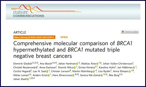 DNA 甲基化专题 | 乳腺癌中的 DNA 甲基化标志物研究