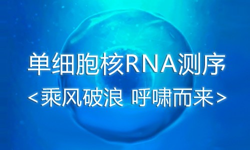 Show Time| 单细胞核转录组测序­—乘风破浪呼啸而来