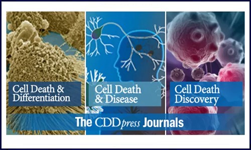 转录组学 | 在胃肠肿瘤研究中的应用