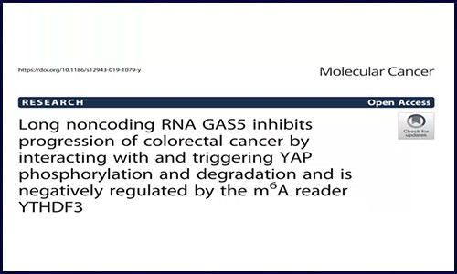 胃肠道肿瘤│各种类型样本 RNA m6A 修饰研究攻略