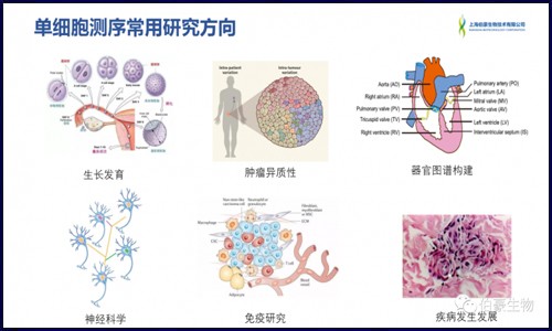 单细胞测序的热点及案例解读