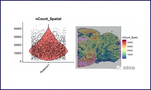 空间转录组 | 数据预处理、降维、聚类（seurat）