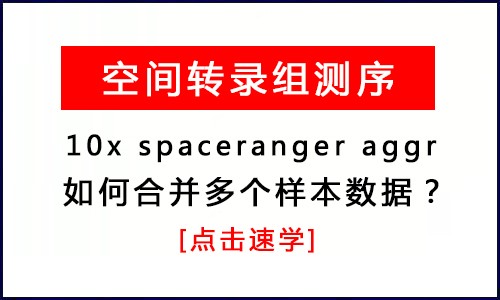 空间转录组 |10x spaceranger aggr 合并多个样本