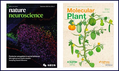文献集锦│8 月 DNA 甲基化研究新鲜速递