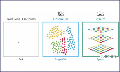 文献解读 | 空间转录组在神经科学应用的新思路