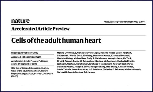 人类细胞图谱计划 | 心脏细胞图谱数据公布！