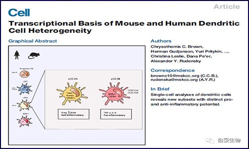 双剑合璧 |scRNA-seq 与 bulk RNA-seq 联合分析