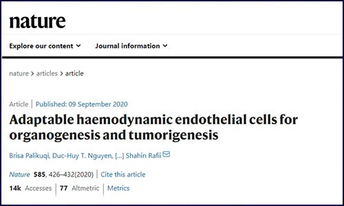 文献锦集 | 9 月单细胞测序高分文献汇总