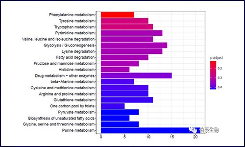 TCGA and GEO 转录组数据挖掘超级干货