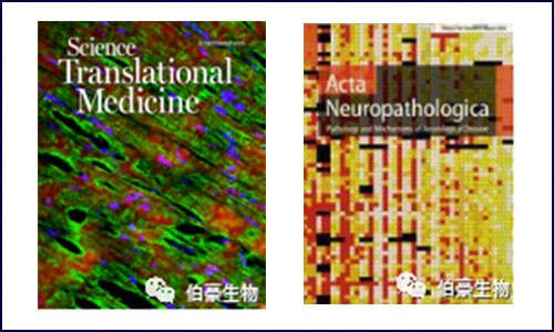 文献集锦│9 月 DNA 甲基化研究新鲜速递