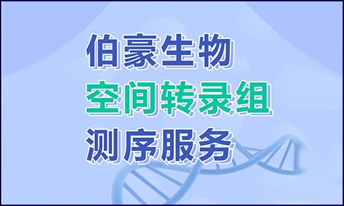 探索基因表达的空间信息 | 空间转录组测序服务你 Pick 了吗？