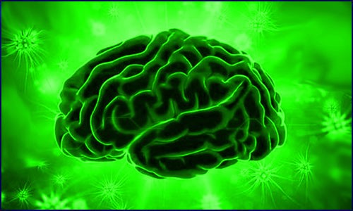 单细胞 RNA 测序为寻找新的阿尔茨海默病药物靶点铺新路