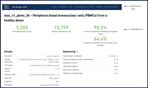 单细胞 ATAC 的 cellranger 质控不会看？看这篇
