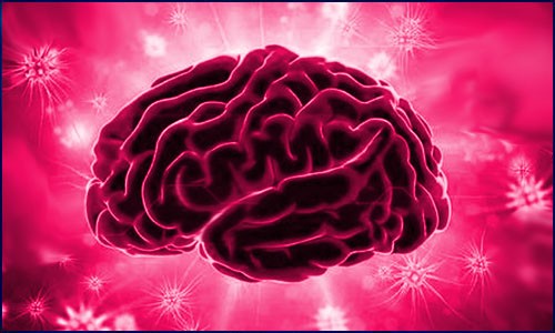 Nat. Genet. | 基于 ATAC-Seq、HiCHIP 数据构建人类大脑表观遗传图谱，揭示 AD/PD 遗传风险位点