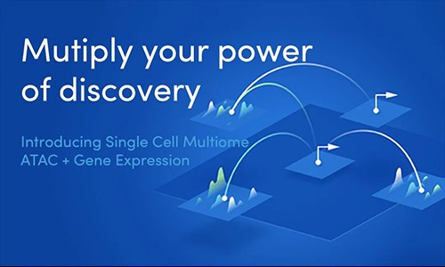 一文了解 | 单细胞多组学新产品：ATAC + 基因表达