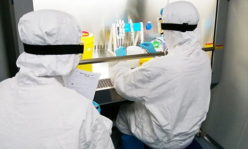 重庆伯豪再次满分通过新冠核酸检测室间质评