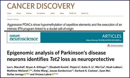 文献集锦│10 月 DNA 甲基化研究新鲜速递