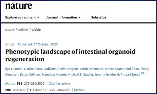文献锦集 | 10 月单细胞测序高分文献汇总