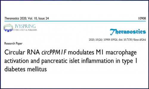 ceRNA 芯片 | circPPM1 调控一型糖尿病中 M1 型巨噬细胞激活及胰岛炎症反应