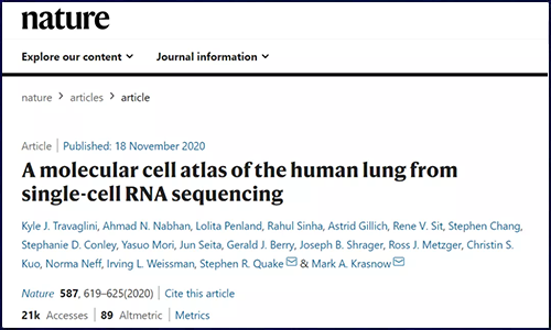 Nature | 基于单细胞 RNA 测序绘制人类肺组织分子细胞图谱，成功鉴定多种未知细胞类型