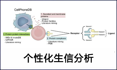 锦上添花 | 个性化分析之细胞通讯分析