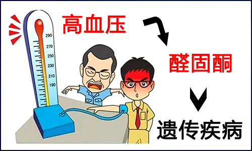 高血压 - 醛固酮 - 基因遗传