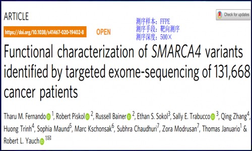 超高性价比的基因测序来了‖超万例肿瘤研究