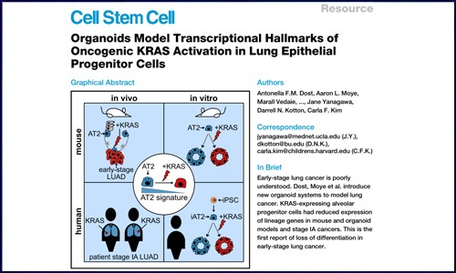 文献解读 | 单细胞测序揭示肺上皮祖细胞中致癌性 KRAS 活化的转录特征