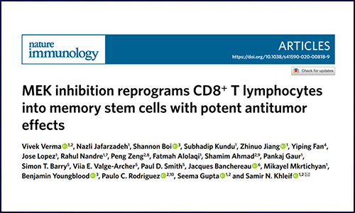 文献集锦│11 月 DNA 甲基化研究新鲜速递